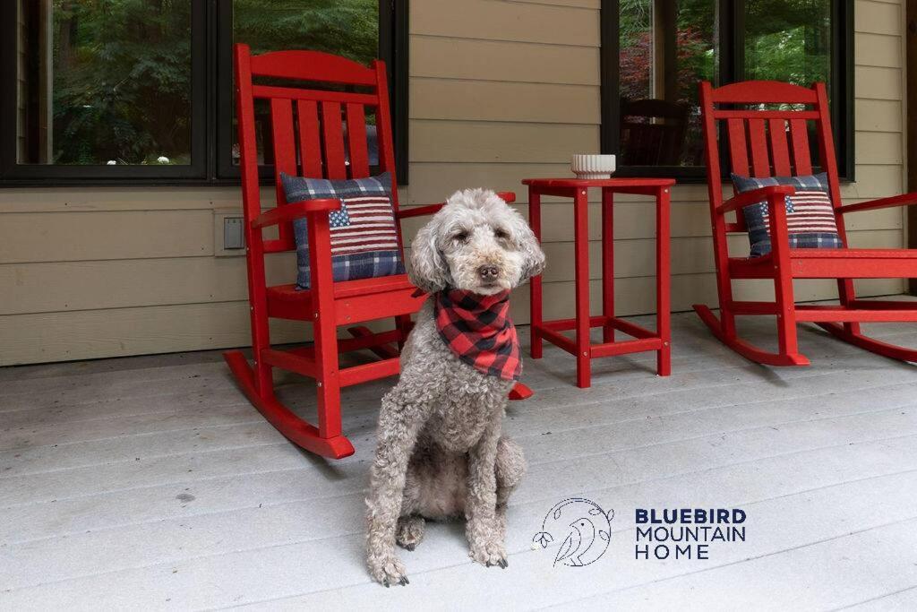 Bluebird Mountain Home Mount Torry Furnace Dış mekan fotoğraf